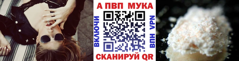 A PVP СК  Нестеров 